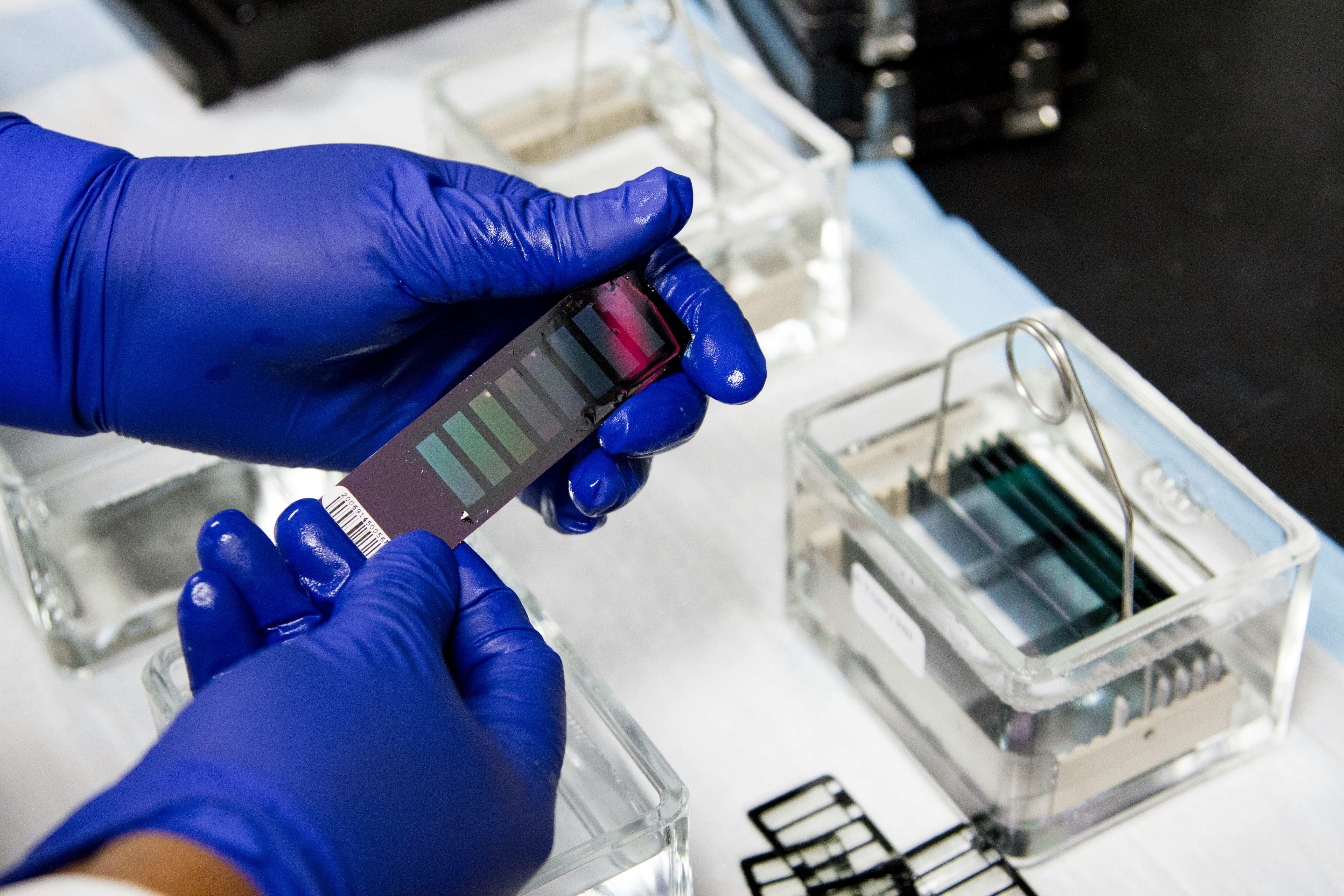 Laboratory research