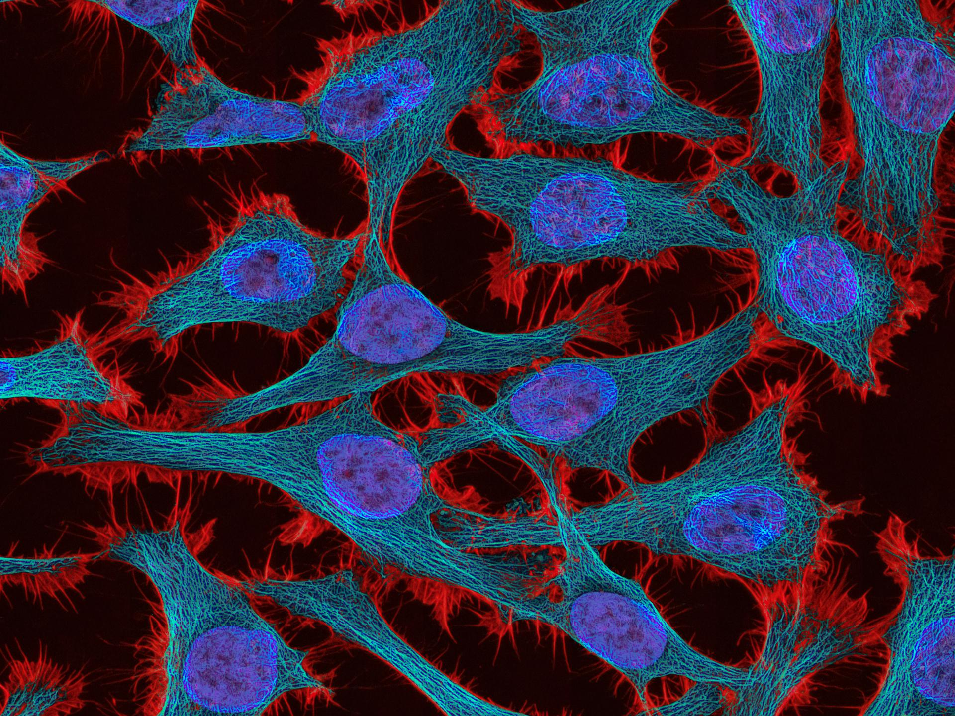 Scientific cells connected in an intelligence network